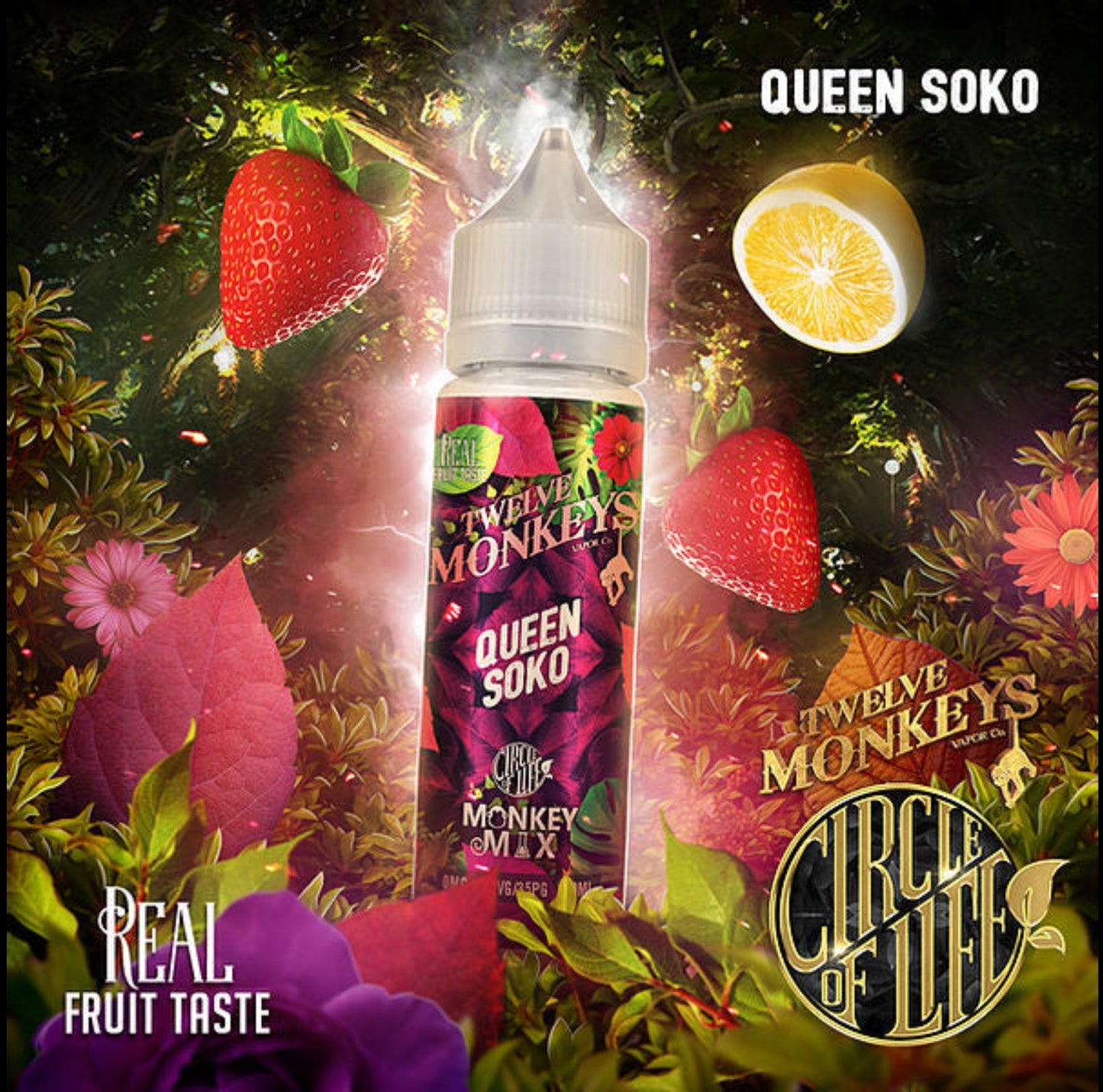 E-liquide Twelve Monkeys (Queen Soko) sans nicotine 60 ml