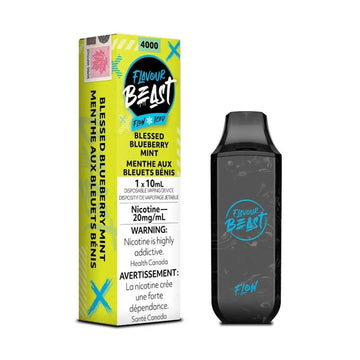 Flavour beast flow 4000 Blessed Blueberry Mint Ice 20mg/ml disposable (Provincial)